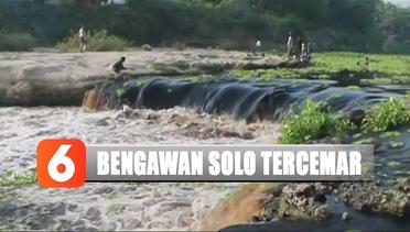 Sungai Bengawan Solo Tercemar, PDAM Tak Bisa Ambil Air Baku - Liputan 6 Siang
