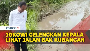Ekspresi Jokowi di Samping Kubangan Saat Cek Jalan Rusak