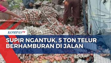 Truk Bawa 5 Ton Telur Tabrak Pohon dan Terguling di Jalan Ponorogo, Blitar Menuju Jakarta