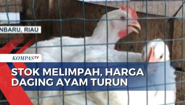 Harga Daging Ayam di Pekanbaru Turun Jadi Rp18 Ribu per Kilogram!