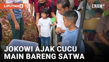 Presiden Jokowi Ajak Cucu Mengenal dan Bermain dengan Satwa di Deli Serdang