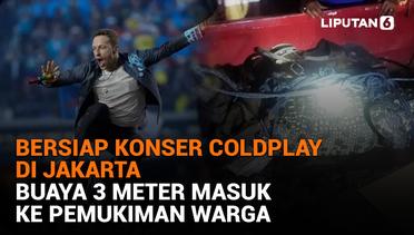 Bersiap Konser Coldplay di Jakarta, Buaya 3 Meter Masuk ke Pemukiman Warga