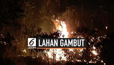Lima Hektare Lahan Gambut Terbakar di Palangka Raya