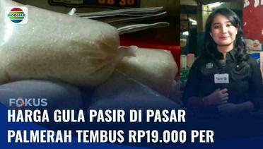 Live Report: Pantauan Harga Sembako di Palmerah, Gula Pasir Dijual Rp19.000 per Kilogram | Fokus