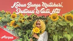 Kebun Bunga Matahari, Destinasi Wisata Hits di Bantul!
