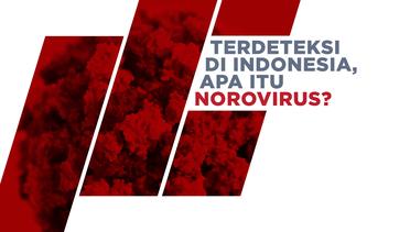 Norovirus Ditemukan di Indonesia, Bagaimana Cara Mencegahnya?