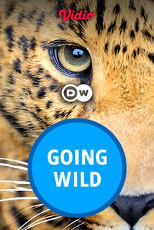 DW - Going Wild