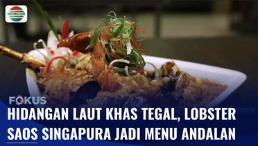 Aneka Hidangan Laut Segar di Tegal, Lobster Saos Singapura Jadi Menu Andalan | Fokus