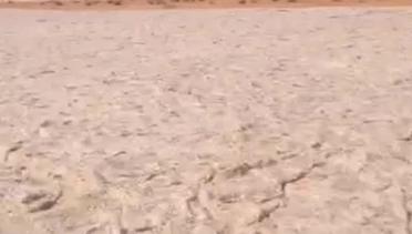 Fenomena Aneh Sungai Pasir di Gurun Tandus Arab