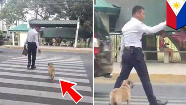 Terekam kamera, pria bantu anjing liar untuk menyebrangi jalan di Filipina - TomoNews
