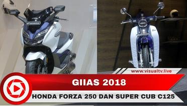 Begini Tampilan Sporti Honda Forza 250 dan Super Cub C125 di GIIAS 2018