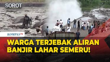 Menegangkan! Momen Warga Terjebak di Tengah Sungai Kala Diterjang Lahar Dingin Semeru