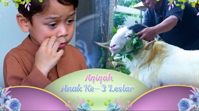 Abang L Sampe Menangis Liat Proses Pemotongan Kambing Aqiqah | Aqiqah Anak Ke-3 Leslar