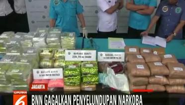 BNN Gagalkan Penyeludupan Narkoba di Banda Aceh - Liputan6 Terkini