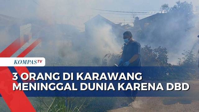 Kasus DBD Meningkat, 3 Orang di Karawang Meninggal Dunia, 1 Di antaranya Balita