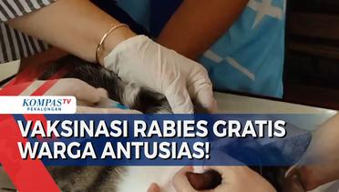 Hari Rabies Sedunia, Puskeswan Tegal Gelar Vaksinasi Gratis