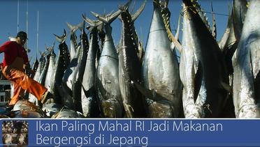 #DailyTopNews: Ikan Paling Mahal RI Jadi Makanan Bergengsi di Jepang