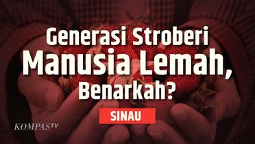 Gen Z Generasi Strawberry yang Manja dan Egois, Apa Iya? | SINAU