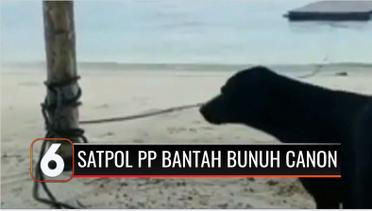 Bantah Bunuh Anjing Canon, Satpol PP Aceh Singkil: Evakuasi Dilakukan Setelah Ada Kesepakatan dengan Pemilik | Liputan 6