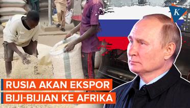 Rusia Akan Gantikan Ukraina Ekspor Biji-bijian ke Afrika