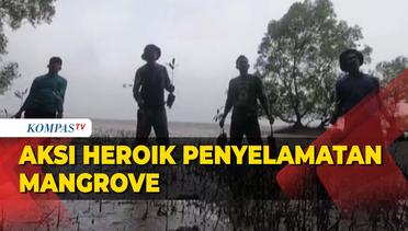 Heroik! Sekelompok Pemuda di Jambi Selamatkan Mangrove dari Ancaman Abrasi Pantai