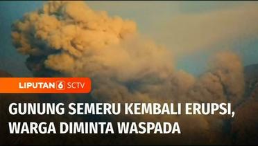 Gunung Semeru Kembali Erupsi, BPBD Minta Warga Hentikan Aktivitas di Zona Merah | Liputan 6