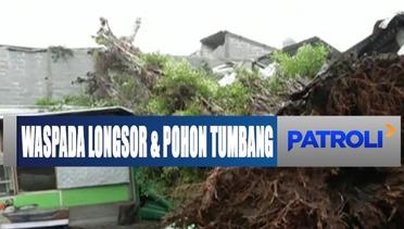 Bukan Cuma Banjir, Hujan Lebat di Jabodetabek Akibatkan Longsor dan Pohon Tumbang