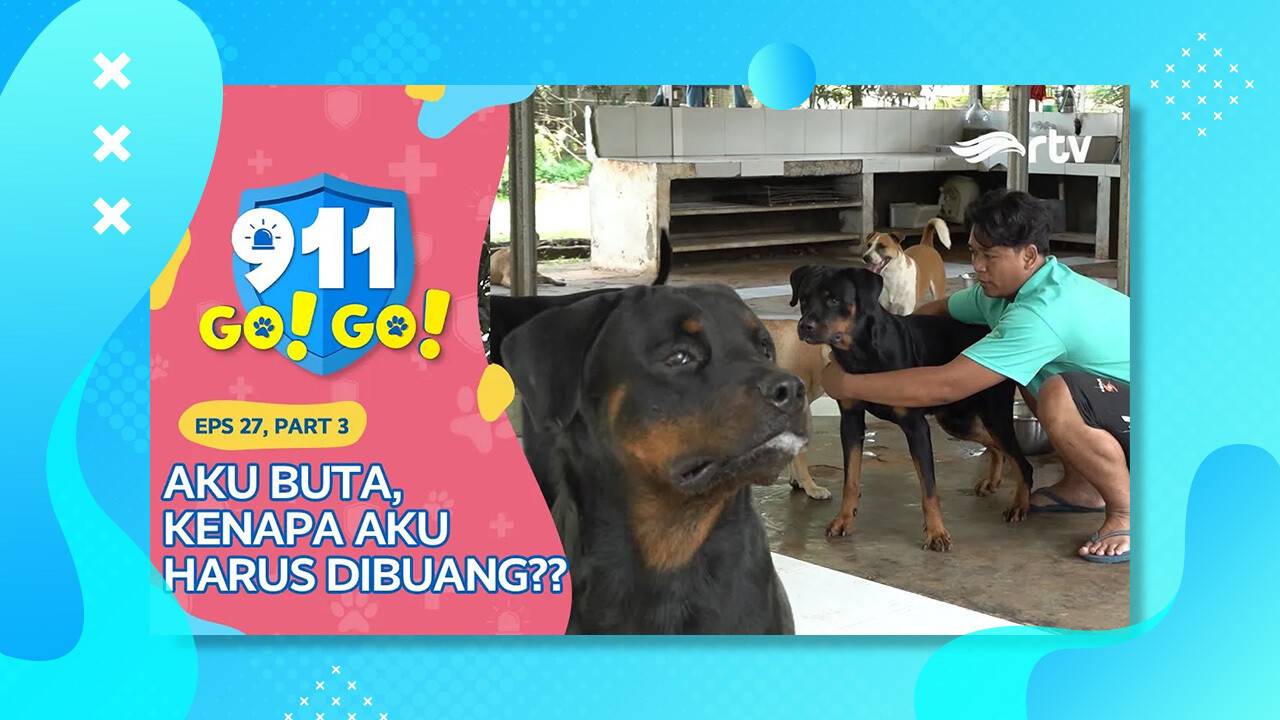 Tungi korish kamerasi bilan tungi jinsiy aloqa