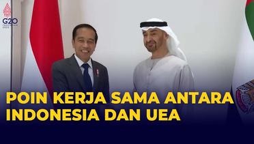 [FULL] Inilah Kesepakatan Kerja Sama Antara Indonesia dan Uni Emirat Arab