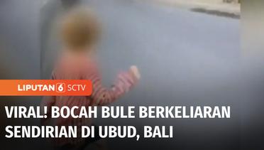 Viral! Bocah Bule Berkeliaran di Kawasan Ubud, Kok Bisa? | Liputan 6