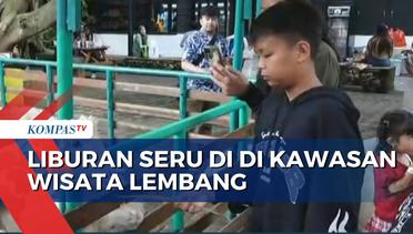 Libur Lebaran Seru Bareng Keluarga di Farm House Lembang