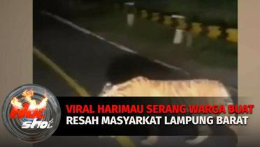 Viral Harimau Serang Warga Buat Resah Masyarkat Lampung Barat | Hot Shot