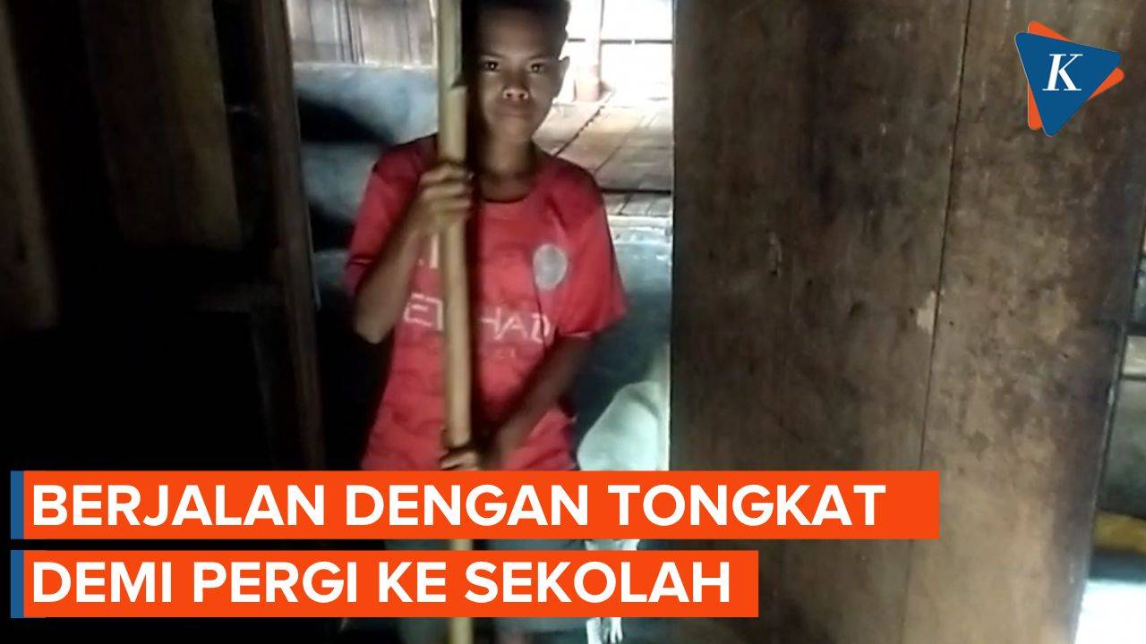 Perjuangan Trisno Siswa Sd Di Ntt Yang Berjalan Dengan Tongkat Kayu Demi Pergi Ke Sekolah 8653