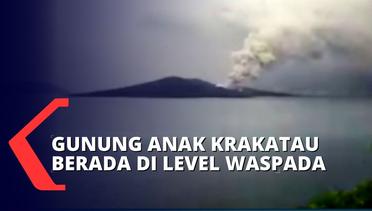 Pagi Tadi, Gunung Anak Krakatau Semburkan Abu Vulkanik Hingga Ketinggian Seribu Meter