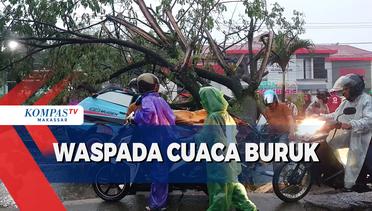 Waspada Cuaca Buruk, Mobil Angkutan Umum Tertimpa Pohon Tumbang