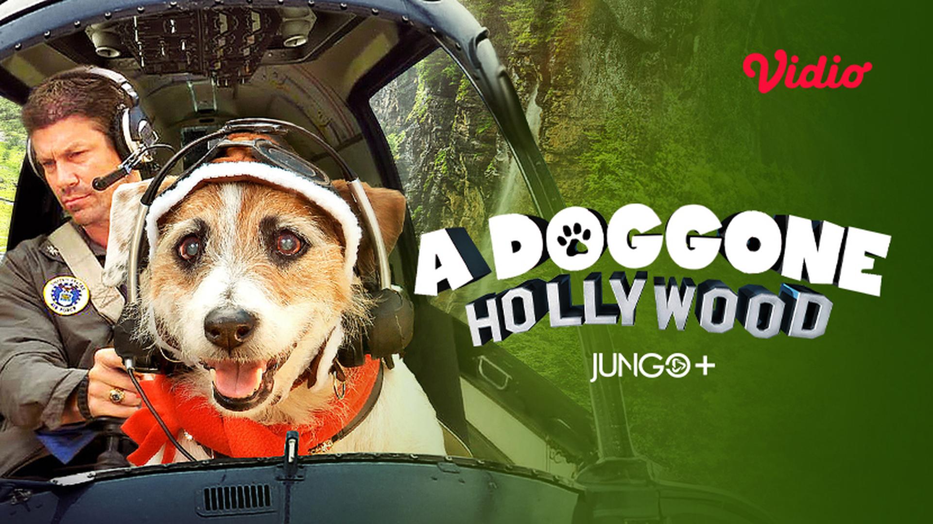 Nonton A Doggone Hollywood (2017) Sub Indo Vidio