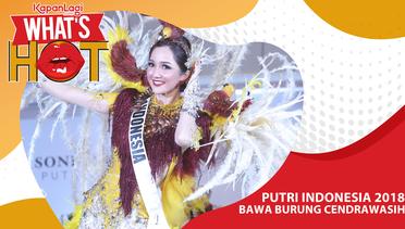 Putri Indonesia 2018 Bawa Burung Cendrawasih ke Kontes Miss Universe 2018