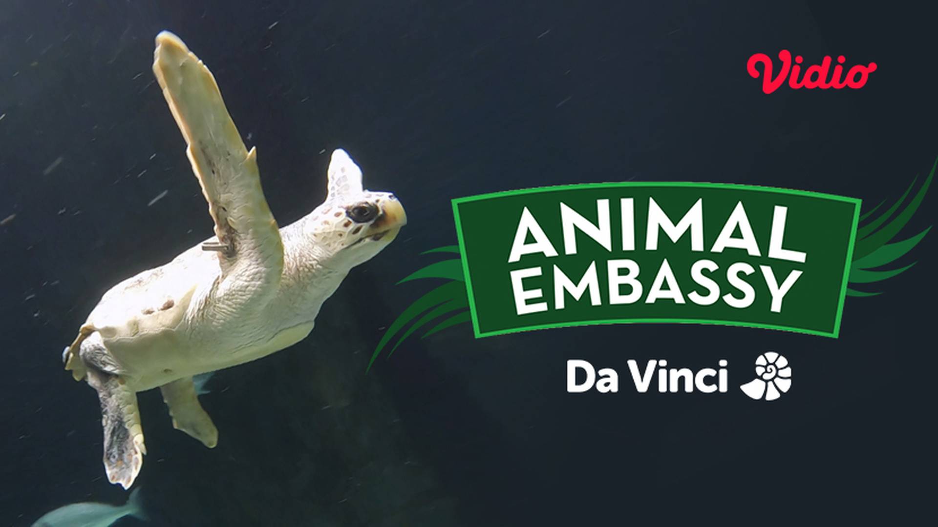 Animal Embassy
