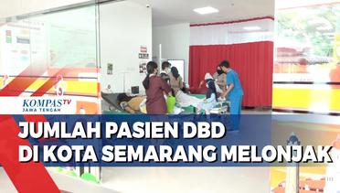 Jumlah Pasien DBD di Kota Semarang Melonjak