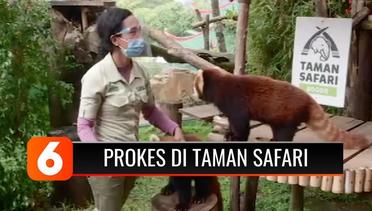 Begini Penerapan Protokol Kesehatan di Taman Safari Indonesia, Bogor