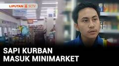 Sapi Kurban Masuk Minimarket | Liputan 6