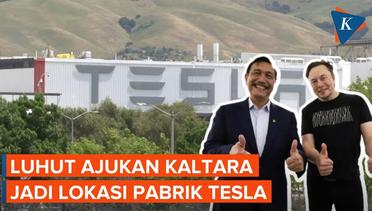 Luhut Tawarkan Kalimantan Utara sebagai Lokasi Pabrik Tesla pada Elon Musk