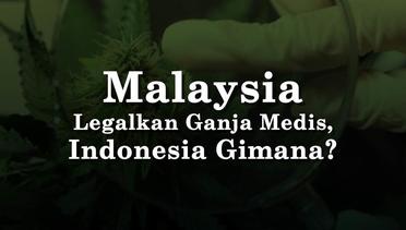 Malaysia Legalkan Ganja Medis, Indonesia Gimana?