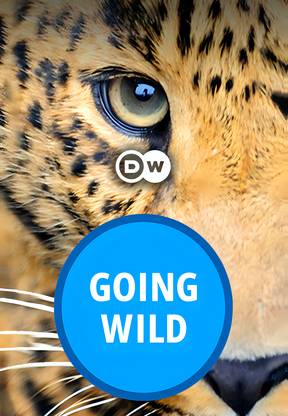 DW - Going Wild