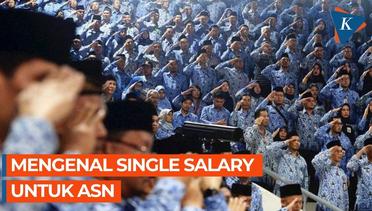 Single Salary, Sistem Gaji Baru untuk ASN pada 2024