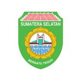 Tim Voli Sumatera Selatan