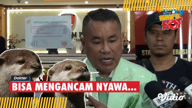 Hotman Paris Sakit Akibat Digigit Berang-Berang, Apa Saja Risikonya?