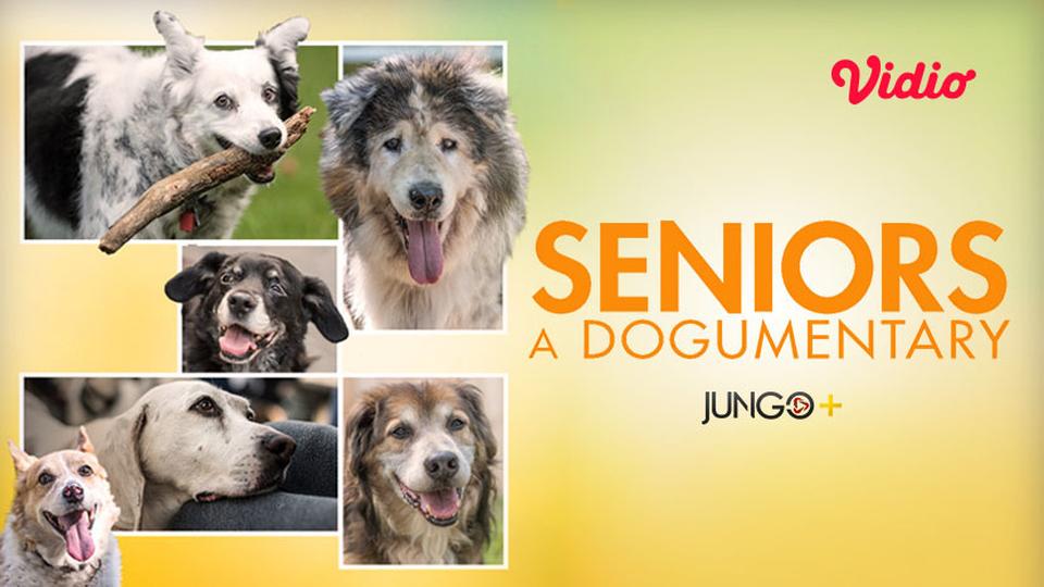 Seniors: A Dogumentary