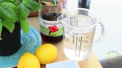 Sugar-Free Basil Lemonade Easy & Quick Summer Drink