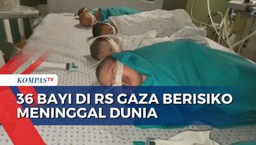 Tanpa Listrik di Inkubator, 36 Bayi di RS Gaza Berisiko Meninggal Dunia